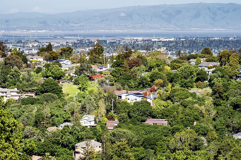 Aerial view of homes surrounded by vegetation in wildfire-prone area protected by The Wildfire Guardian™ eco-safe fire retardant. Aerial view of homes surrounded by vegetation in wildfire-prone area protected by The Wildfire Guardian™ eco-safe fire retardant.