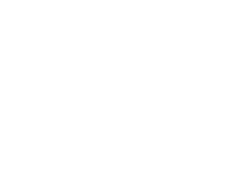 The Wildfire Guardian